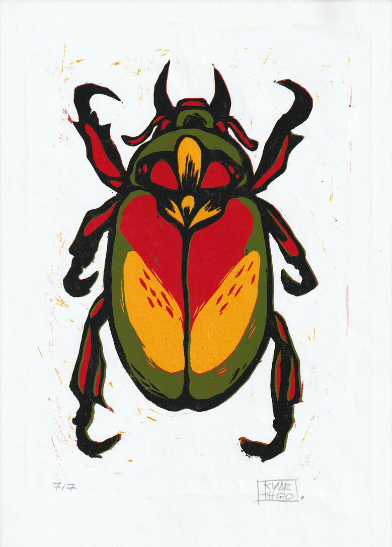 besouro joia, xilo em matriz perdida