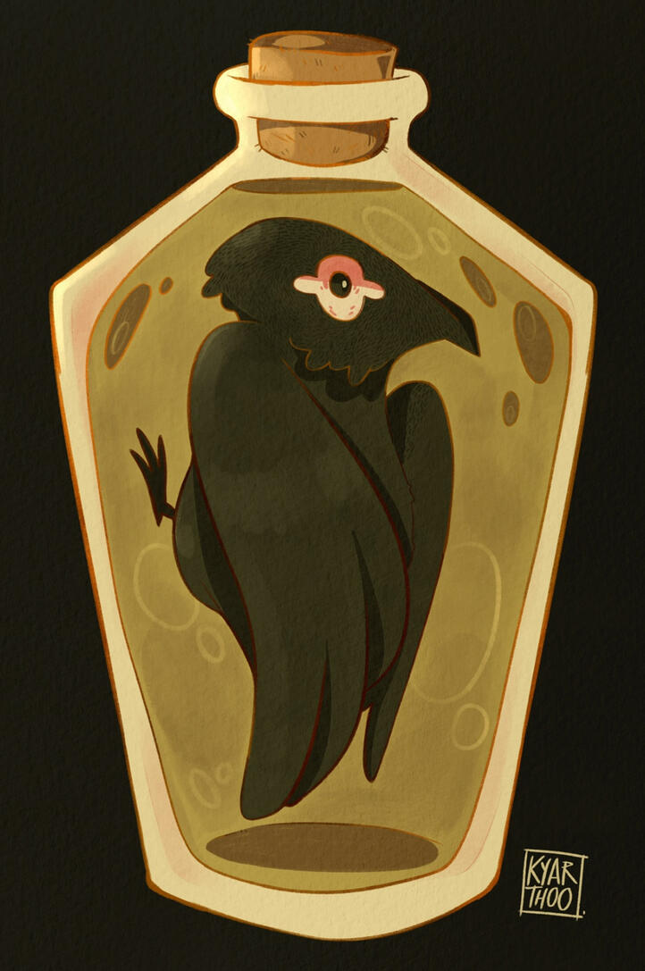 krote, ilustração digital